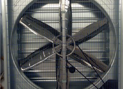 點(diǎn)擊查看詳細(xì)信息<br>標(biāo)題：Heavy Hammer Type Animal Husbandry Fan 閱讀次數(shù)：1540